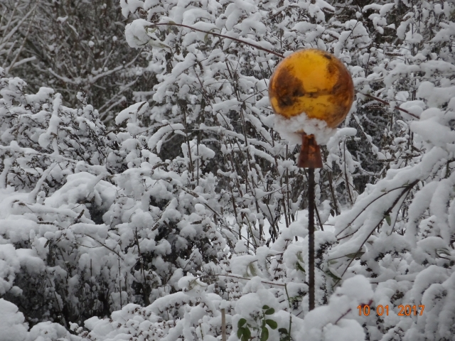 Rosenkugel im Schnee
