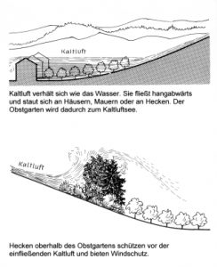 Schutz Kaltluft - Lohrberg-Blog
